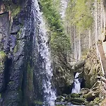 Hirschen