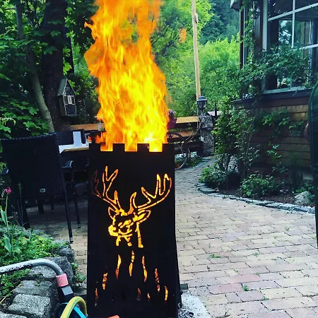 Hotel Hirschen Menzenschwand-Hinterdorf