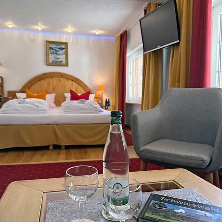 Hotel Hirschen 3*