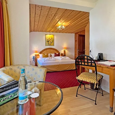 Hirschen Hotel 3*