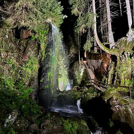 Hirschen Menzenschwand-Hinterdorf
