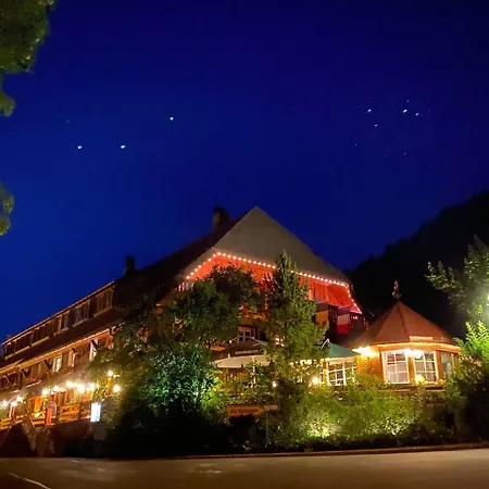 Hirschen Hotel 3*