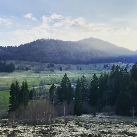Hotel Hirschen Menzenschwand-Hinterdorf