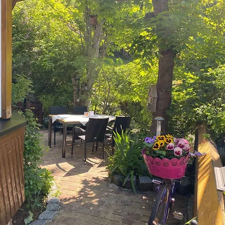 Hirschen Hotel 3*