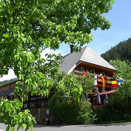 Hirschen Menzenschwand-Hinterdorf