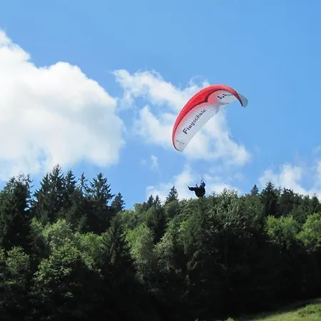 Hirschen 3*
