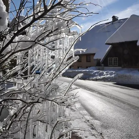 Hotel Hirschen 3*