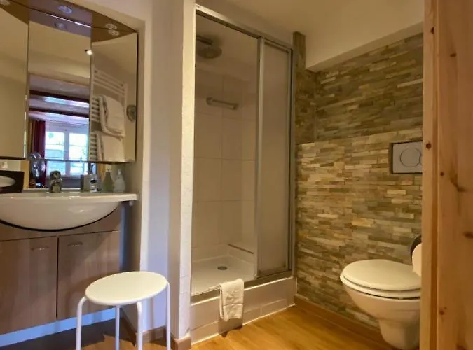 Hirschen Menzenschwand-Hinterdorf